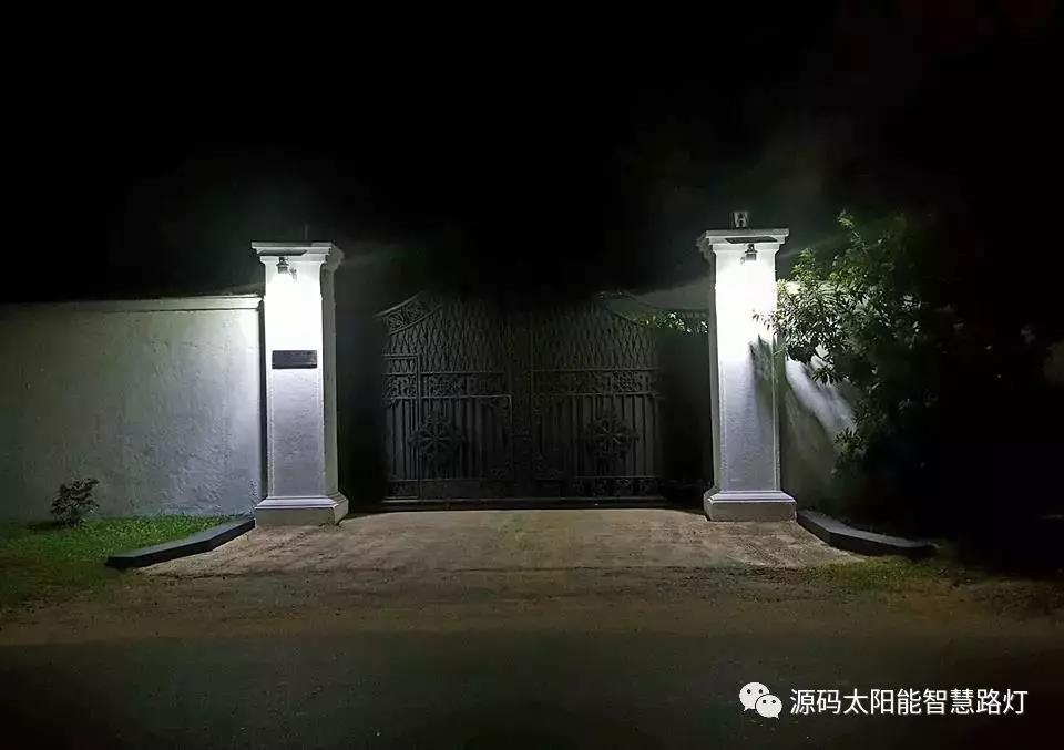 總統、發展局主席齊齊發聲，源碼火遍這個國家
