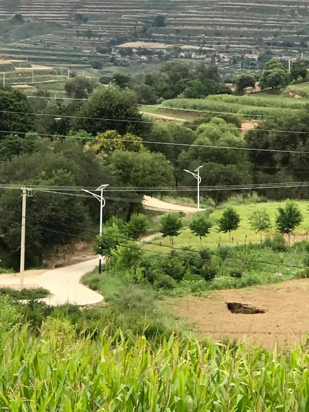案例賞析〡云雁高飛，助力鄉村振興