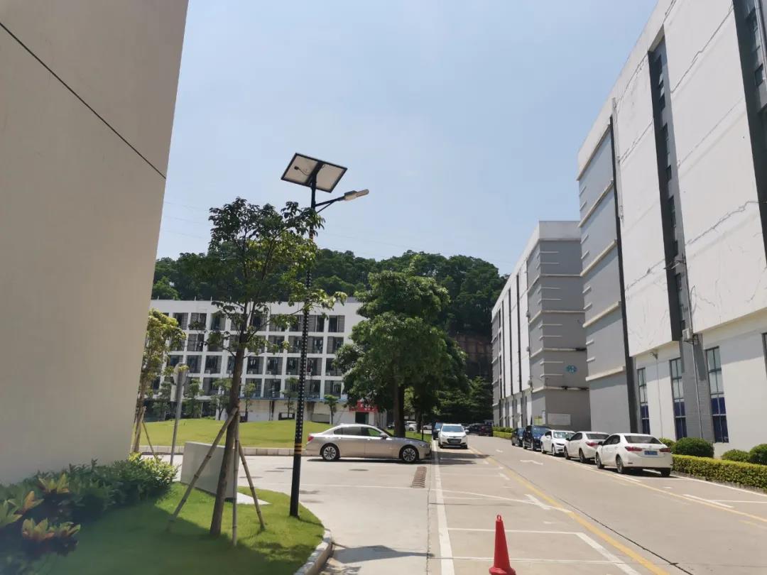 案例賞析〡云雁高飛，助力鄉村振興
