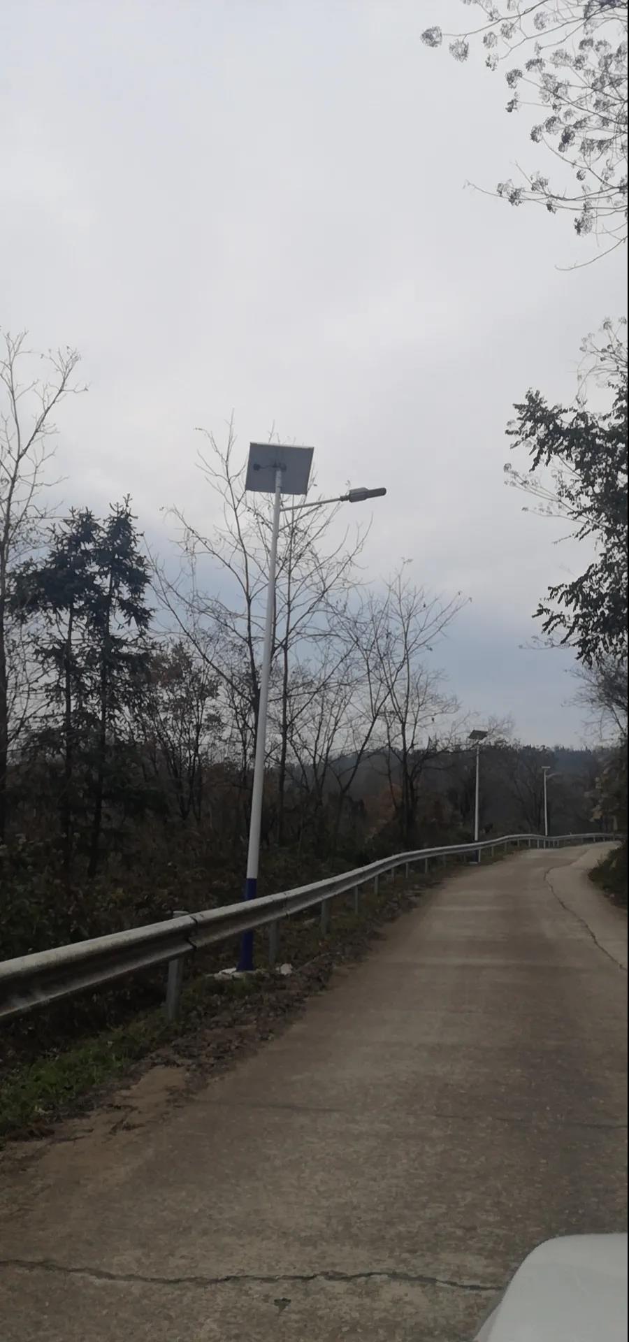 案例賞析〡云雁高飛，助力鄉村振興