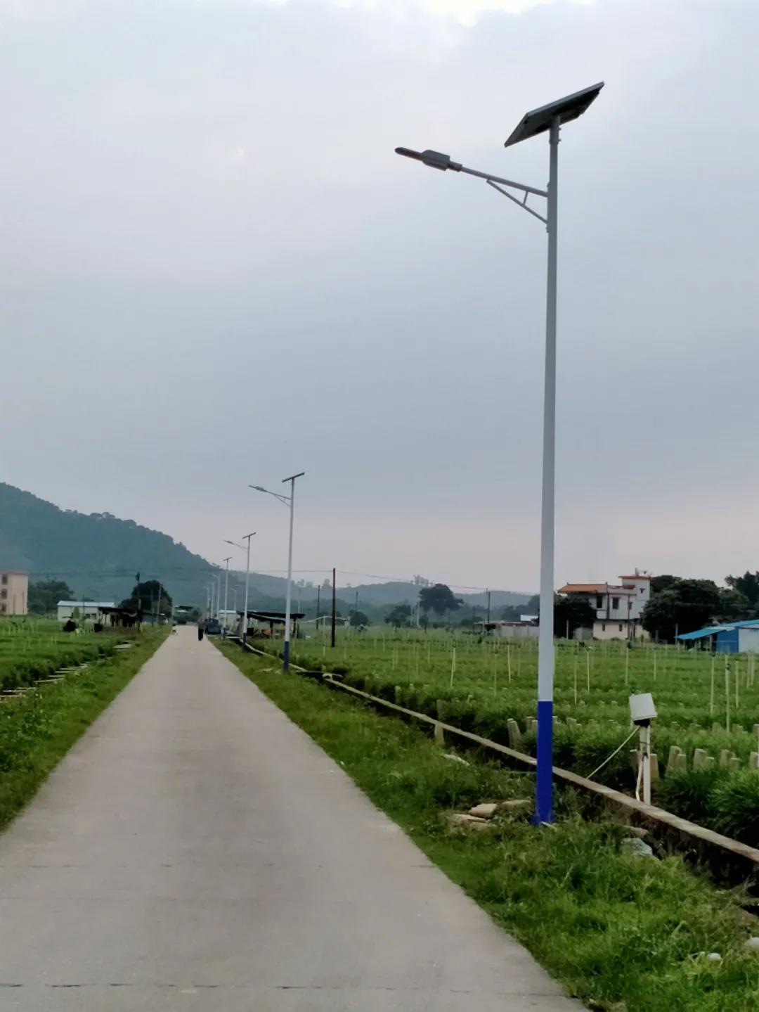 案例賞析〡云雁高飛，助力鄉村振興