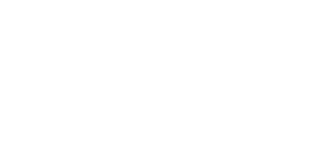 雙 CPU 管理