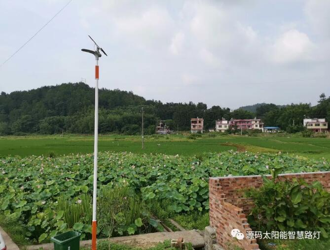 發生在村里的真實對話……看完之后尤生敬意。