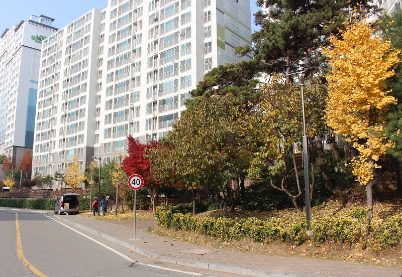 韓國太陽能路燈-月光燈工程
