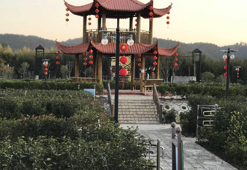 太陽能路燈品牌用戶口碑調(diào)查結(jié)果揭曉