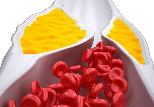 健康一體機 健康一體機