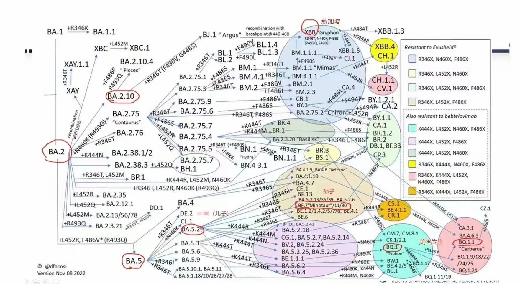陽了哪些事情不能做?感染新冠康復之后哪些事要注意? 陽了哪些事情不能做?感染新冠康復之后哪些事要注意?