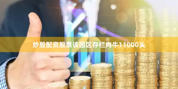 炒股配资股票该园区存栏肉牛11000头